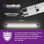 GoodBulb 32W 48 Inch T8 Fluorescent Light Bulb, 6500K Full Spectrum Medium Bi-Pin Base, 3050 Lumens 86 CRI 24000 Life Hours, Instant/Programmed Start (Pack of 25)