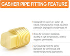 GASHER 15PCS Brass Fitting 1/4" NPT Male Brass Plug Pipe Fitting, Square Head Plug