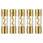 100A AGU Fuse 100 Amp Gold Plated Glass Inline Automobile Audio Fuses for Car Auto Stereo Amplifier Safety Power Protection 12V (Pack of 5 Pcs)