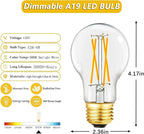 A19 Vintage LED Edison Light Bulbs 60 Watt, E26 Dimmable LED Filament Light Bulbs, Daylight White 5000K,6W Equal 60W Incandescent Bulbs,600LM, AC120V, A19 LED Bulb with 90 CRI,COCODI-6Pack (6W-5000K)