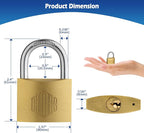 HOX Solid Brass Keyed Different Padlock with 1-9/16-Inch Wide Body, Brass Cylinder - for Hasp Latch, Sheds, Fences, Storage Locker, 12-Pack