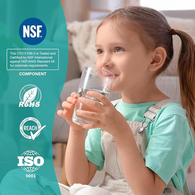 Whole House Water Filters SimPure 10" x 4.5" Big Carbon Block Filter Replacement Cartridge Coconut CTO Filter Compatible with GE FXHTC, GXWH40L, GXWH35F, GNWH38S, WHKF-GD25BB (8 Pack)