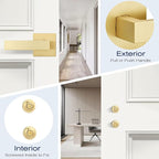 EHOMEWARE 4 Pack Satin Brass Dummy Levers, Heavy Duty Non-Turning Interior Door Handles, Left or Right Handed Dummy Handles for Closet Cloakroom Pantry