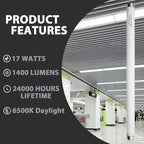 24 Inch F17T8/865 Fluorescent Bulb Daylight 6500K, 17 Watt T8 Light Bulb, 2 Foot Fluorescent Light Bulb, 1460 lumens, G13 Medium Bi-Pin Cap 8 Pack