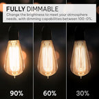 HUDSON BULB CO. Vintage Edison Incandescent 60W 12-Pack Light Bulbs - Antique ST64 Dimmable 2100K Warm Decorative Squirrel Filament - E26/E27 Base for Indoor Outdoor - Lightbulb - Outdoor Light