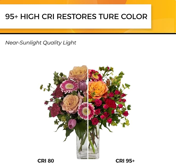 Hizashi LED Edison Bulbs, 6W, Equivalent 60W, Dimmable E26 LED Bulb, 3000K Soft White, 90+ CRI 700 Lumens, ST19 Vintage Light Bulbs, Clear Glass, Pack of 3