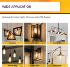 Hizashi Vintage LED Edison Bulb Dimmable, 6W Equivalent 60W, E26 Base Light Bulbs, 2700k Warm White, 700LM, High CRI 95+ Eye Protection, Clear Glass, Pack of 18