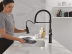 Delta Rhett Pro Style Commercial Kitchen Faucet with Pull Down Sprayer, Single Hole Matte Black Kitchen Sink Faucet, Single Handle, Matte Black 18829-DST