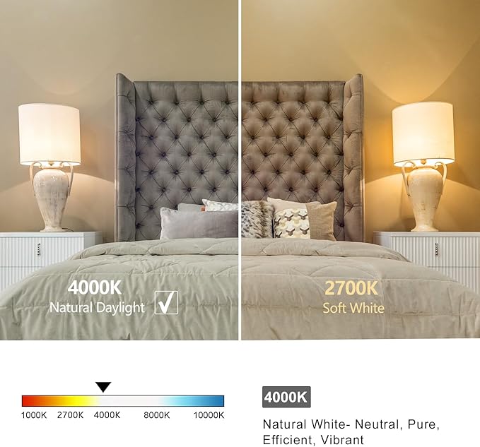 6 PCS Dimmable Vintage LED Edison Bulbs, 6W Equivalent 60 Watt, Natural White 4000K, Antique Flexible Spiral LED Filament Light Bulb, ST58 (ST19), 600 Lumens, E26 Base, Clear Plastic