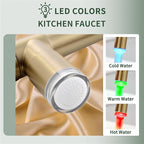 Fapully LED Kitchen Sink Faucet with Pull Down Sprayer Brushed Gold