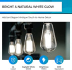 Hizashi Vintage LED Light Bulb Dimmable, 6W Equivalent 60W, 5000k Daylight, E26 Base Led Edison Bulbs, 700LM, High CRI 95+ Eye Protection, Clear Glass, Pack of 24