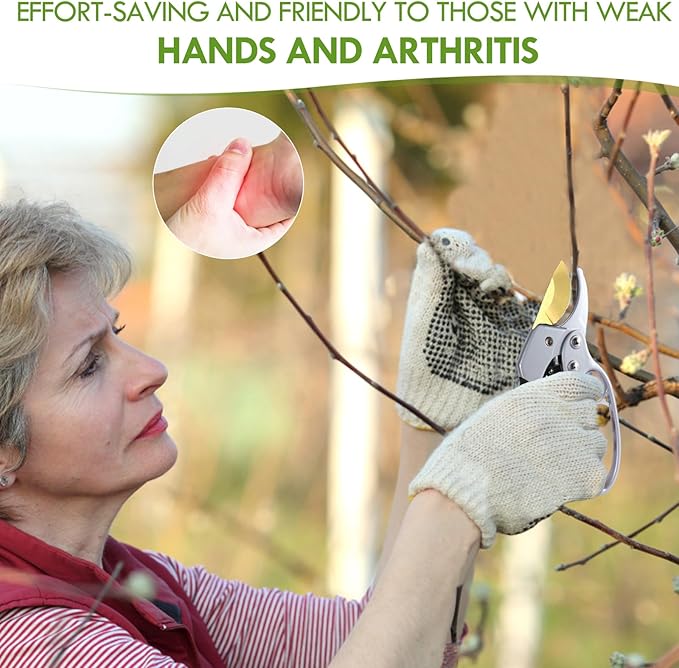 Ultra Sharp Germany Titanium Steel Pruning Shears - Cuts 3X Easier, Weak Hand Arthritis Snips, Rust-Resistant, Effortlessly 1-Inch Cut Capacity Garden Scissors, Ergonomic Handle