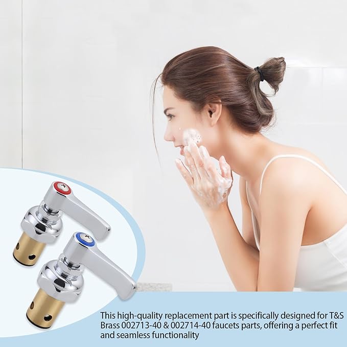 Hot and Cold Side Handle Stem Assembly for T&S Brass Eterna Spindle Assembly, Replace 002713-40 & 002714-40 Fits for All T&S Faucets Valve Replacement Part