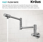 KRAUS Bolden 2 Handle Pot Filler Faucet with Retractable Arm, Wall Mount Kitchen Faucet, Pot Filler for Over Stove in Spot-Free Stainless Steel, KPF-5003SFS