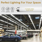 25 Pack F32T8/865 32W 48 Inch T8 Fluorescent Tube Light Bulb 6500K Daylight, 4ft Fluorescent Bulb 2500 Lumens, F32T8/865/DX G13 Medium Bi-Pin Base