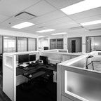 LUXRITE F17T8/841 17W 24 Inch T8 Fluorescent Tube Light Bulb, 4100K Cool White, 1350 Lumens, G13 Medium Bi-Pin Base, LR20752, 4-Pack