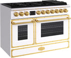 Akicon 48" Freestanding Gas Cooktop Oven Combo, Features 8 Sealed Burners, 6.7 Cu.ft Rapid Convection Oven, Convertible Fuel (NG/LP), Durable Cast Iron Grating (SWGBGGA1)