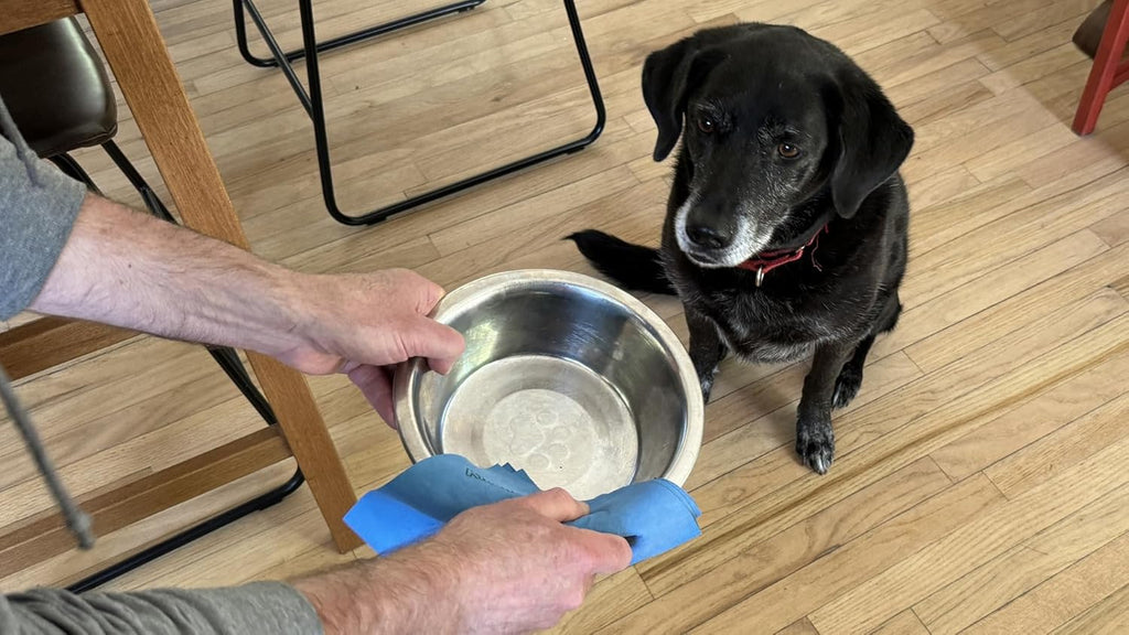 Reusable Antibacterial Cleaning Cloths – Removes 99.99% of Bacteria with Just Water | Silver-Embedded, Chemical, Odor, Streak & Scratch-Free for All Surfaces | 8 Pack