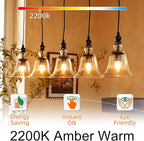 Candelabra Light Bulbs 40 watt Equivalent, E12 LED Bulb Dimmable B10 Candle Light Bulbs, 2200K Amber Warm, Chandelier Light Bulb, 90+CRI, 400LM, Amber Glass Finish, 24 Pack