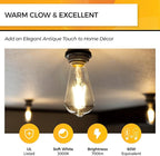 Hizashi Vintage LED Edison Bulb Dimmable, 6W Equivalent 60W, 3000k Soft White, E26 Base Led Light Bulbs, 700LM, UL Listed, High CRI 95+ Eye Protection, Clear Glass, Pack of 12