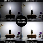 LiteHistory Dimmable e12 led Bulb g16.5 led Light Bulbs g16 Candelabra Bulbs 4W=40W Edison Bulb Daylight 5000K 400lm ac120v g50 Globe Light Bulbs for Chandelier,Vanity,Ceiling Fan Light Bulbs 6Pack