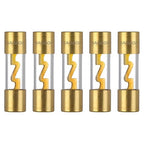 80A AGU Fuse 80 Amp Gold Plated Glass Inline Automobile Audio Fuses for Car Auto Stereo Amplifier Safety Power Protection 12V (Pack of 5 Pcs)