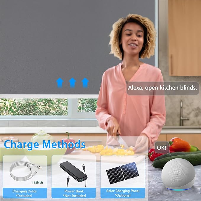 Motorized Blinds with Remote Cordless Automatic Motorized Shades Custom Blinds for Windows Smart Curtains Compatible with Alexa Google Home(Blackout Thunder Grey,W24 x H72in)