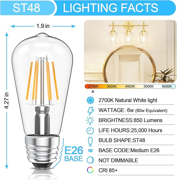 Ralbay ST48 Vintage LED Edison Bulbs 6 Pack, 60W Equivalent, Warm White 2700K, Clear Glass E26 Medium Base