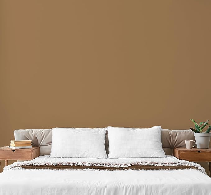 EVOLVE Paint & Primer: Environment-friendly, Low Sheen with One-coat Coverage for Interior & Exterior surfaces (Autumn Brown, 1-Gallon)