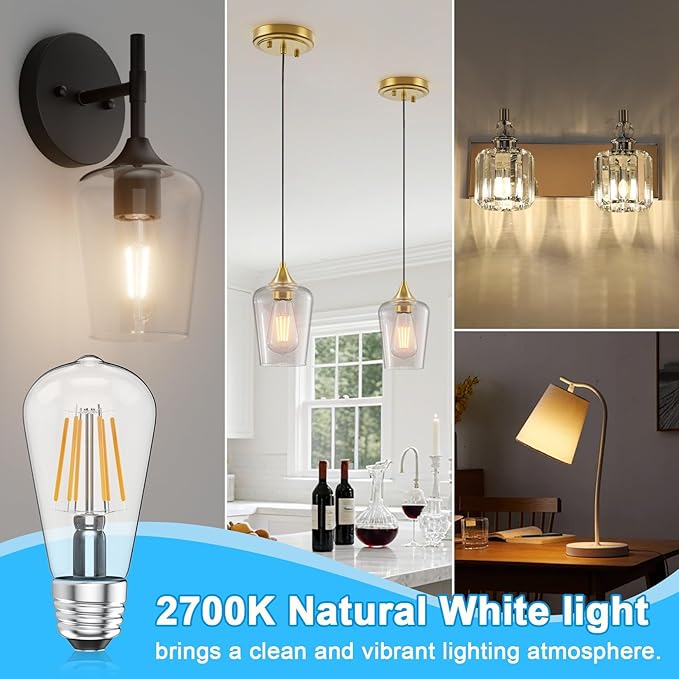 Ralbay ST48 Vintage LED Edison Bulbs 10 Pack, 60W Equivalent, Warm White 2700K, Clear Glass E26 Medium Base