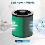 DXVC6914 Cartridge Filter Replacement Compatible with DeWalt DXV06P DXV09P DXV10P DXV10PL DXV10SA DXV12P DXV14P DXV16P Wet/Dry Vac Vacuum Cleaner (NOT fits for DXV06G/ DXV08S) 2 Pack