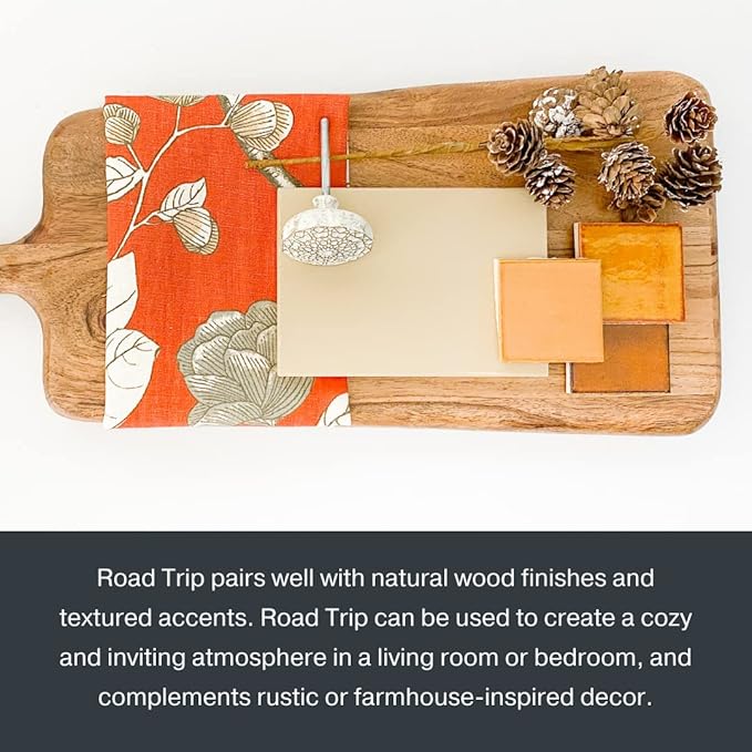 Country Chic All-in-One Chalk Paint for Furniture, Cabinets, Home Decor, Eco-Friendly, Matte Finish, Built-In Primer & Top Coat for Wood, Metal - No Wax Needed (- Pint 16 oz (475 ml)