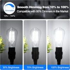 Vintage LED Edison Bulbs 60 Watt Equivalent Dimmable 7W ST58 LED Filament Light Bulbs Daylight White 5000K Antique Style Lighting High Brightness 800LM E26 Medium Base Clear Glass Home Office, 12 Pack
