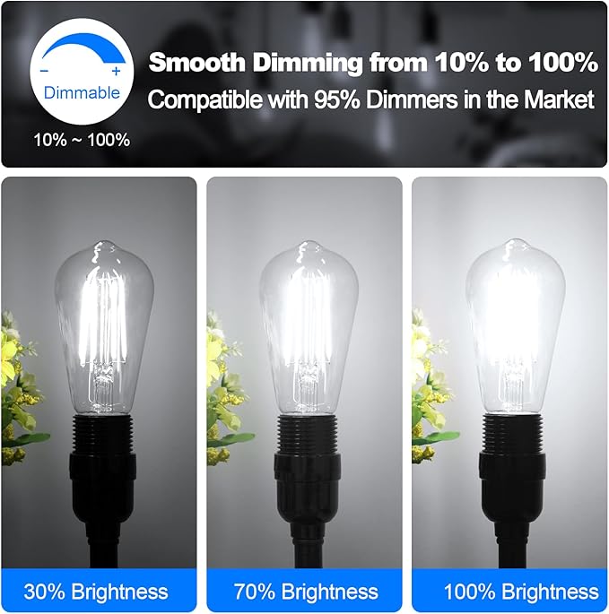 Vintage LED Edison Bulbs 60 Watt Equivalent Dimmable 7W ST58 LED Filament Light Bulbs Daylight White 5000K Antique Style Lighting High Brightness 800LM E26 Medium Base Clear Glass Home Office, 12 Pack