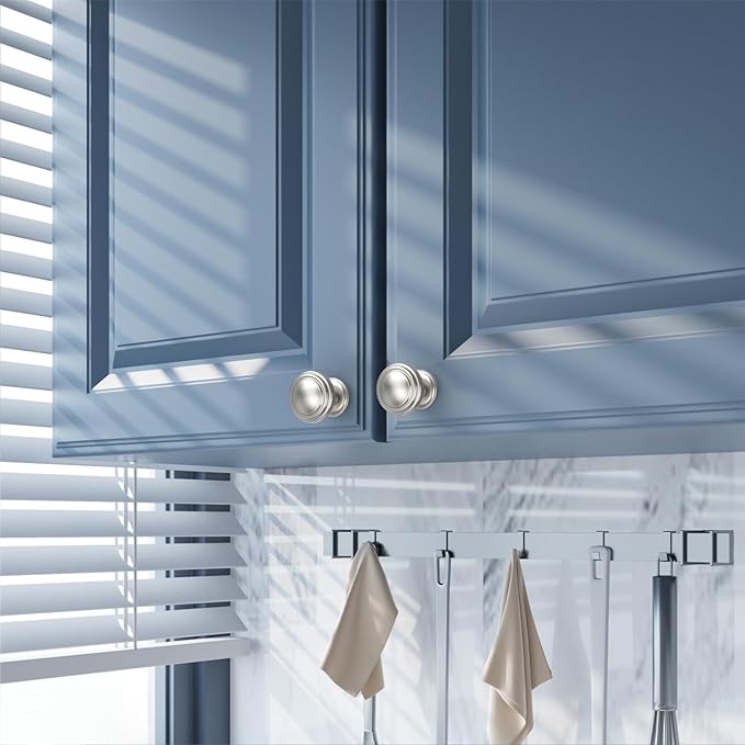 Amerdeco 10 Pack Brushed Satin Nickel Cabinet Knobs Single Hole Cabinet Pulls 1 Inch Drawer Knobs for Bathroom Cabinets ZH0086