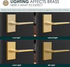 Mega Handles Apex Passage Door Handle - 1 Pack Reversible Gold Door Handle, Heavy Duty No Lock Door Handles Interior for Closet & Hallway, Fits All Standard Door Sizes - Satin Brass