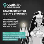 GoodBulb 54-Watt 46 Inch T5 Fluorescent Light Bulb 4100K Cool White Color Medium Bi-Pin Base 4950 Lumens 85 CRI 36000 Life Hours Instant/Programmed Start (Pack of 40)