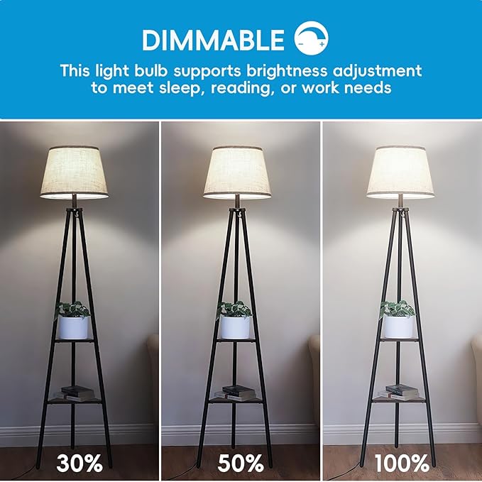 Jensense Edison LED Light Bulbs 8Watt Dimmable Light Bulbs 5000K Daylight White, E26 LED Bulb 60watt Equivalent, Vintage Bulbs 800lm CRI 90 Clear Glass 24 Packs