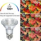 Vinaco PAR20 Halogen Light Bulbs, 6PCS 39W PAR20 Halogen Dimmable, 3000k Warm White, High Brightness PAR 20 Flood 39W 120V 480 Lumens Equivalent PAR 20 50W 120V, E26 Medium Base for Track Lights