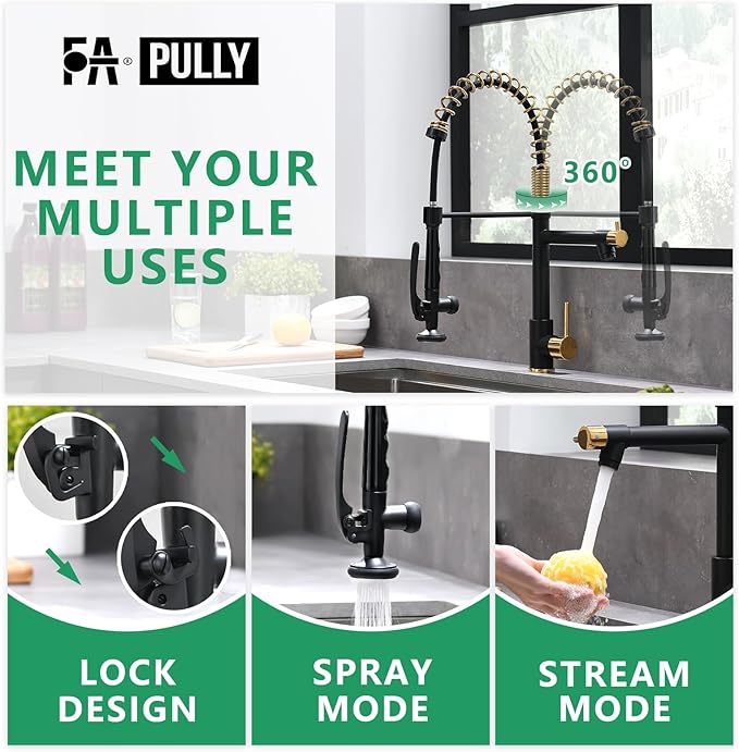 Fapully Black&Gold Kitchen Faucet with Sprayer,Commercial Pull Down Kitchen Faucet for Kitchen Sink