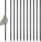 AAGUT Rebar Stakes 24 Inch 10 Pcs Landscape Timber Spikes 1/2", Heavy Duty Straight Garden Plant Stakes for Concrete Forming, Ground Anchors with Chisel Point End, Black