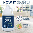 Oxy Pet Carpet Cleaner Spray | Pet Stain Remover for Pet Urine, Cat Pee, Dog Poop | Deep Spot Treating Action on Carpeting, Upholstery, Laundry, Pet Beds & More (160 Fl Oz)