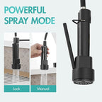 AIMADI Kitchen Faucet,Black and Gold Kitchen Faucet with Sprayer,Commercial Style Matte Black Single Handle Single Hole Kitchen Sink Faucet