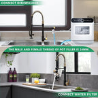 Fapully Black&Gold Kitchen Faucet with Sprayer,Commercial Pull Down Kitchen Faucet for Kitchen Sink