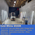 T8 LED Bulbs 4 Foot, T12 LED Replacement 4FT 72W Fluorescent Tube Lights,7200lm 6500K Cool White,2 Bi-Pin G13 Base Type B Tube Lights, Ballast Bypass, Double Ended Power, NO RF FM Driver