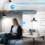 Brightever E26 LED Bulb 60 Watt Equivalent, 5000K Daylight White Dimmable Light Bulbs, 7W, 850LM Vintage Lights Bulb, 90+CRI, ST58 Clear Glass Antique Decor Filament Edison Bulb for Room, 6-Pack