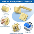 Amerdeco Front Door Lock Set with Double Cylinder Deadbolt, Exterior Entry Door Lever, Heavy Duty Entry Door Locksets for Left or Right Hand Exterior Door（Brushed Gold 2 Pack）