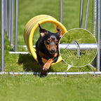 AAGUT Rebar Stakes 32 Pack 12'' Ground Stakes 3/8" Heavy Duty J Hook Anchors, Plant Support Garden Spikes Anti Rust Galvanized for Chain Link Fence