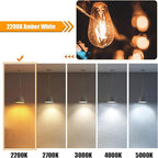 12 Pack LED Edison Bulbs 40W Equivalent, 4 Watt ST19 LED Filament Bulb, 2200K Amber White, Vintage Light Bulbs for Ceiling Light Fixtures, E26 Base, 450LM, Non-dim