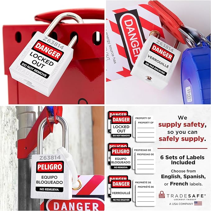 TRADESAFE Lockout Tagout Locks Set - 10 White Loto Locks, Keyed Alike Lockout Locks, 2 Keys Per Lock, OSHA Compliant Lock Out Tag Out Padlocks